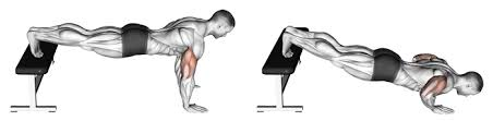 Decline Pushup 