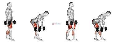 Dumbbell Romanian Deadlift x 10 reps