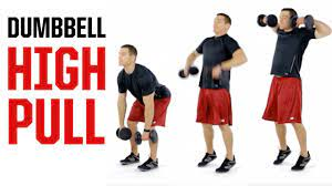 Dumbbell High Pull x 10 reps