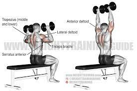 Seated Shoulder Press