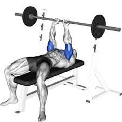 Close Grip Bench Press