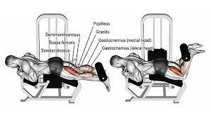 Hamstring Curls Back