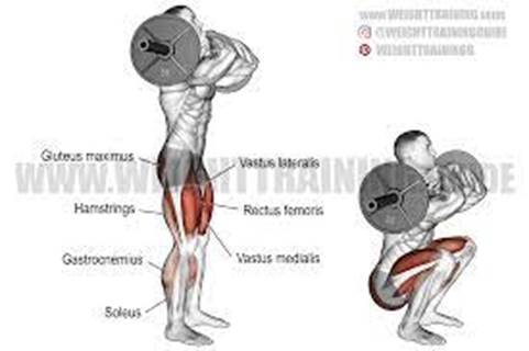 Front Squat Exercise