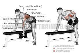 Dumbbell Rows