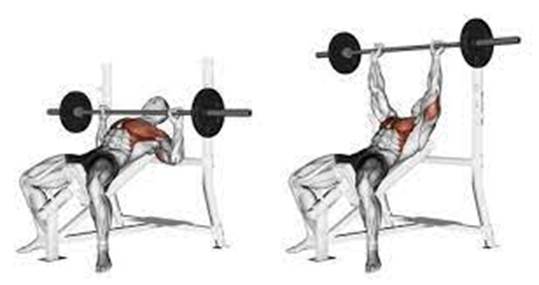 Incline Bench Press