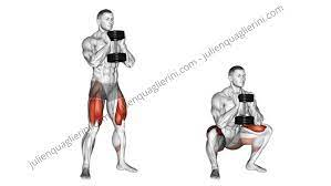 Single Leg Squats