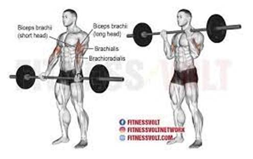 Single Leg Romanian Deadlift